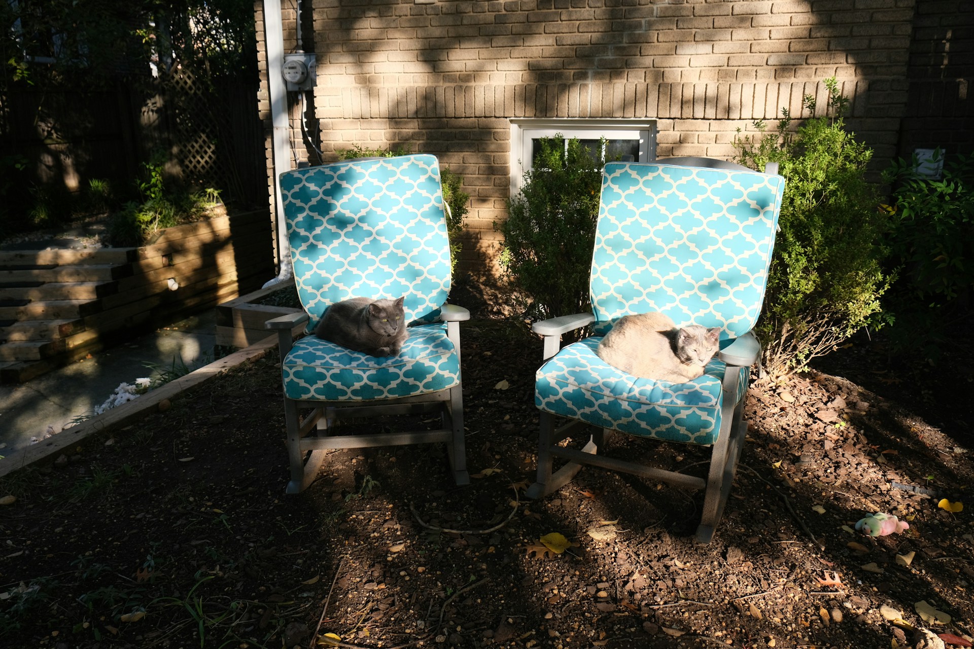 outdoor chairs